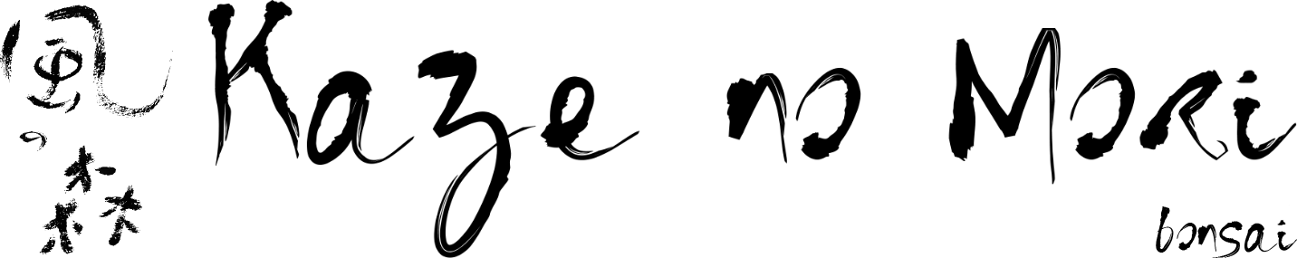Logotipo da Empresa